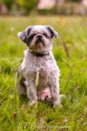 EvaPrinsenPhotography_DSC_2544